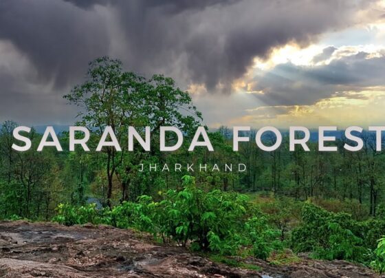 सारंडा मामला: राज्य सरकार ने शपथ पत्र दायर करने के लिए मांगा एक दिन का अतिरिक्त समय, कल होगी सुनवाई |