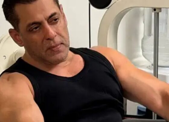 सलमान खान को मिला दिल्ली हाईकोर्ट से नोटिस:चीनी कंपनी ने पर्सनैलिटी राइट्स को दी चुनौती, 4 हफ्ते के अंदर एक्टर को देना होगा जवाब