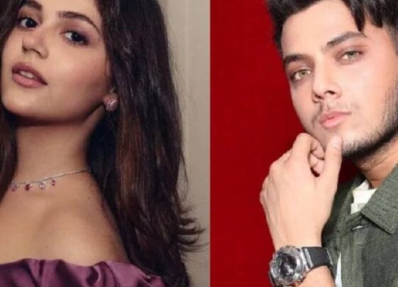 चंबल की लोककथाओं पर बेस्ड होगी ‘शक्ति शालिनी’:‘सैयारा’ फेम अनीत पड्डा के साथ पहली बार फुल लेंथ रोल में दिखेंगे विशाल जेठवा