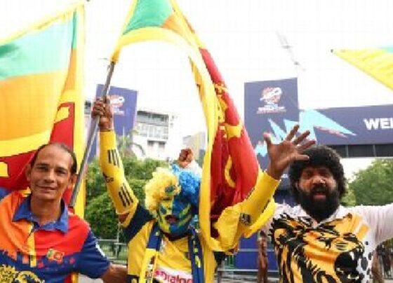 दो वर्ल्ड कप वेन्यू वाला इकलौता शहर:कोलंबो बना क्रिकेट की धड़कन, दोनों स्टेडियम में सिर्फ 5 किमी का अंतर