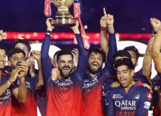इस बार IPL की ओपनिंग सेरेमनी नहीं होगी:पिछले साल की भगदड़ के चलते BCCI का फैसला, फाइनल में ग्रैंड क्लोजिंग सेरेमनी होगी