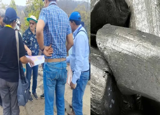 गिरिडीह की पहाड़ियों में ‘व्हाइट गोल्ड’ का संकेत? लिथियम सर्वे के बाद खनन को लेकर बढ़ी हलचल |