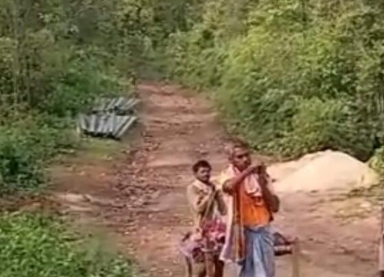 Saraikela Road Issues: सड़क के अभाव में खटिया बनी सहारा