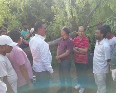 लातेहार में तेज तूफान का कहर: घर पर पेड़ गिरने से महिला की मौत, परिवार सदमे में