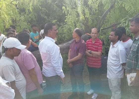लातेहार में तेज तूफान का कहर: घर पर पेड़ गिरने से महिला की मौत, परिवार सदमे में